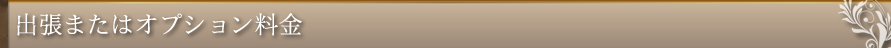 出張鑑定その他オプション料金
